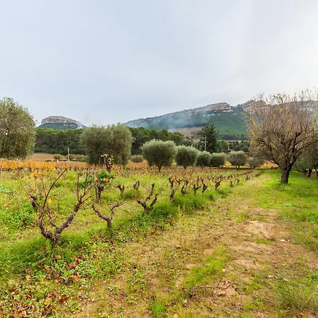 Tatil Evi Lou Jas - Cassis