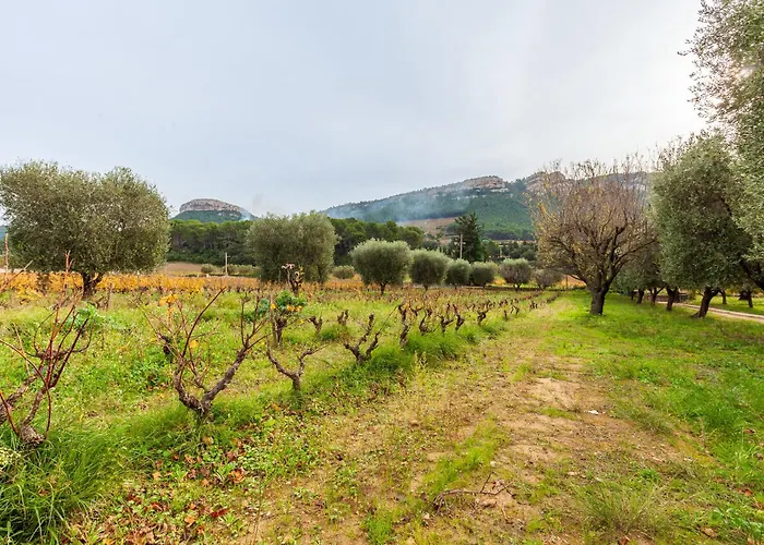 펜션 Lou Jas - 카시스